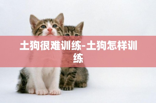 土狗很難訓練-土狗怎樣訓練