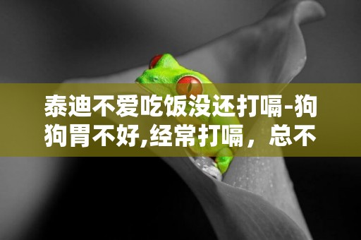 泰迪不愛吃飯沒還打嗝-狗狗胃不好,經常打嗝，總不吃飯怎么辦？