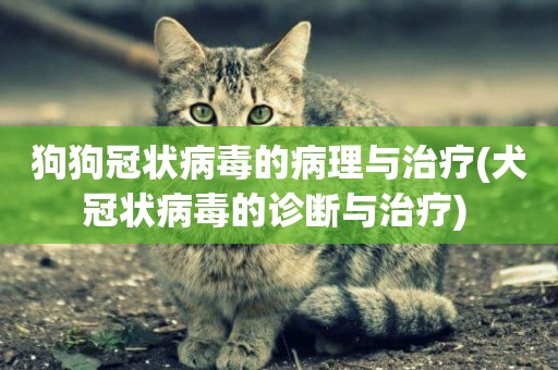 狗狗冠狀病毒的病理與治療(犬冠狀病毒的診斷與治療) 