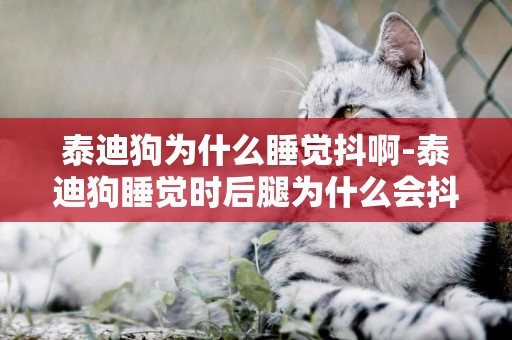 泰迪狗為什么睡覺抖啊-泰迪狗睡覺時后腿為什么會抖