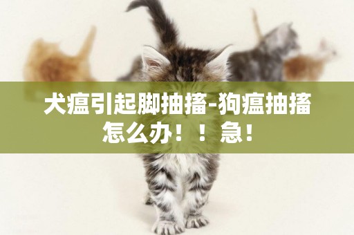犬瘟引起腳抽搐-狗瘟抽搐怎么辦！！急！