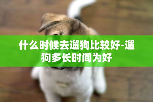 什么時候去遛狗比較好-遛狗多長時間為好