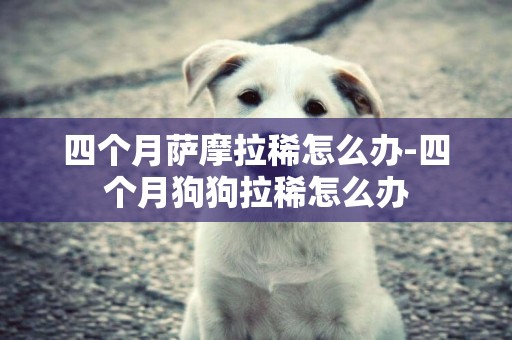 四個月薩摩拉稀怎么辦-四個月狗狗拉稀怎么辦
