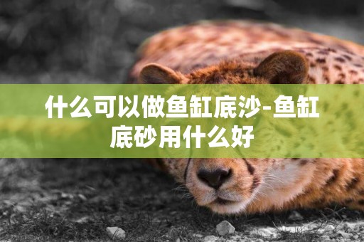 什么可以做魚缸底沙-魚缸底砂用什么好