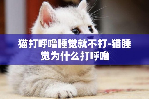 貓打呼嚕睡覺就不打-貓睡覺為什么打呼嚕