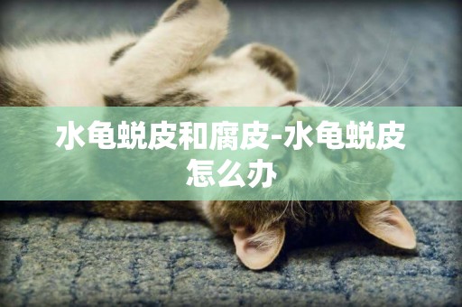 水龜蛻皮和腐皮-水龜蛻皮怎么辦