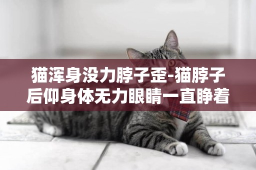 貓渾身沒力脖子歪-貓脖子后仰身體無力眼睛一直睜著