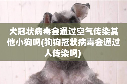 犬冠狀病毒會通過空氣傳染其他小狗嗎(狗狗冠狀病毒會通過人傳染嗎) 