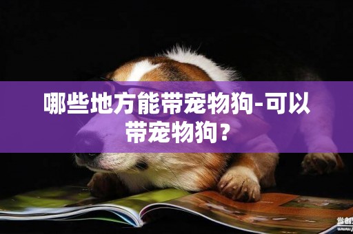 哪些地方能帶寵物狗-可以帶寵物狗？