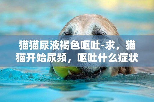 貓貓尿液褐色嘔吐-求，貓貓開始尿頻，嘔吐什么癥狀