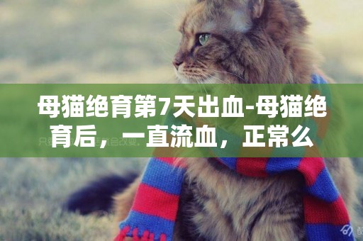 母貓絕育第7天出血-母貓絕育后，一直流血，正常么