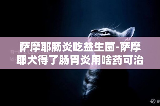 薩摩耶腸炎吃益生菌-薩摩耶犬得了腸胃炎用啥藥可治好?