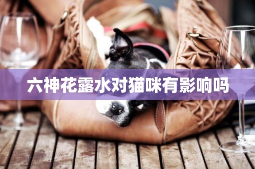 六神花露水對貓咪有影響嗎