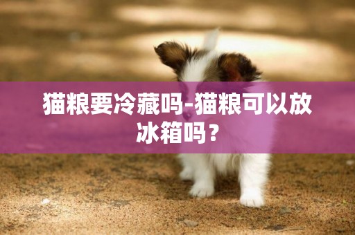 貓糧要冷藏嗎-貓糧可以放冰箱嗎？
