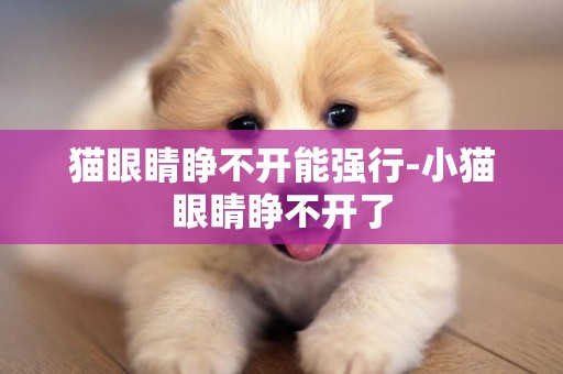 貓眼睛睜不開能強行-小貓眼睛睜不開了