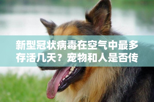 新型冠狀病毒在空氣中最多存活幾天？寵物和人是否傳染？ 