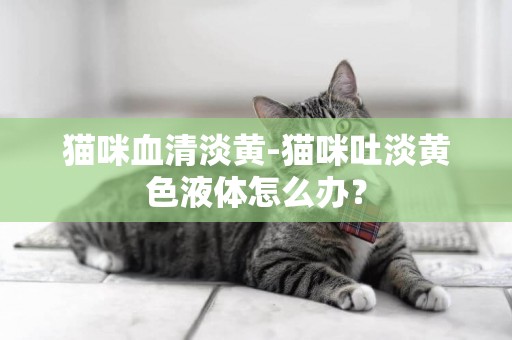 貓咪血清淡黃-貓咪吐淡黃色液體怎么辦？