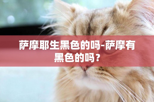 薩摩耶生黑色的嗎-薩摩有黑色的嗎？