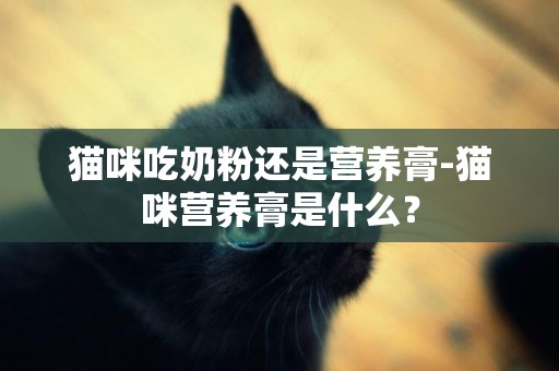 貓咪吃奶粉還是營養膏-貓咪營養膏是什么？