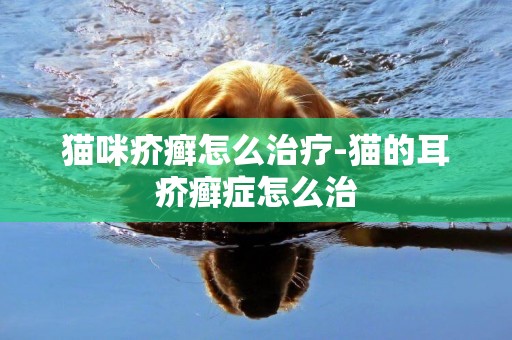 貓咪疥癬怎么治療-貓的耳疥癬癥怎么治