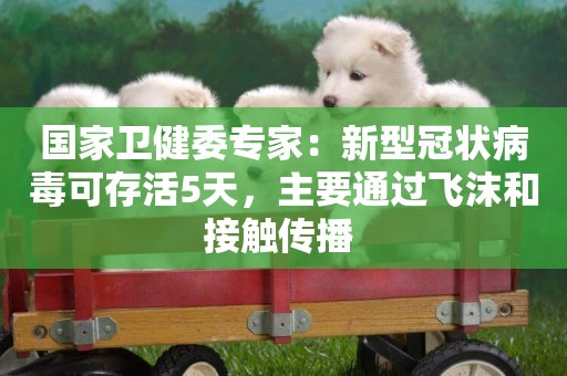 國家衛健委專家：新型冠狀病毒可存活5天，主要通過飛沫和接觸傳播 