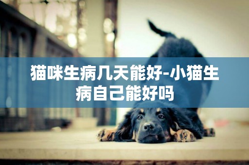 貓咪生病幾天能好-小貓生病自己能好嗎