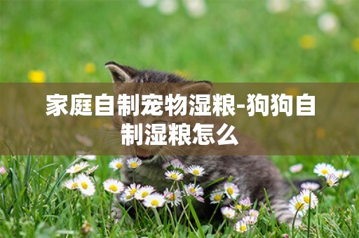 家庭自制寵物濕糧-狗狗自制濕糧怎么