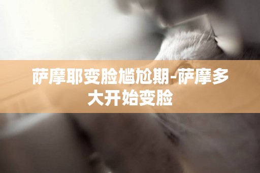 薩摩耶變臉尷尬期-薩摩多大開始變臉