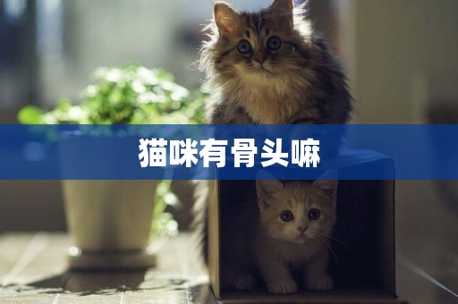 貓咪有骨頭嘛