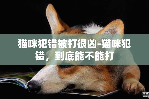 貓咪犯錯被打很兇-貓咪犯錯，到底能不能打