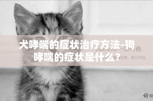 犬哮喘的癥狀治療方法-狗哮喘的癥狀是什么？