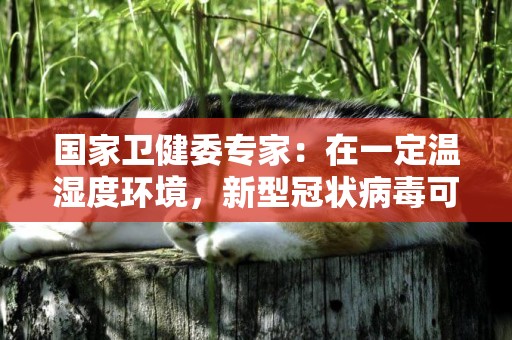 國家衛健委專家：在一定溫濕度環境，新型冠狀病毒可存活五天 