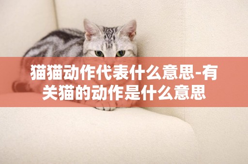 貓貓動作代表什么意思-有關貓的動作是什么意思
