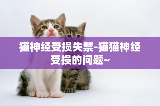 貓神經受損失禁-貓貓神經受損的問題~