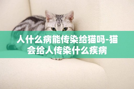 人什么病能傳染給貓嗎-貓會給人傳染什么疾病