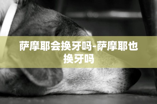 薩摩耶會換牙嗎-薩摩耶也換牙嗎