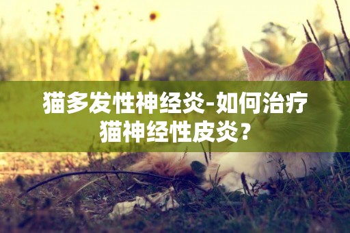 貓多發性神經炎-如何治療貓神經性皮炎？