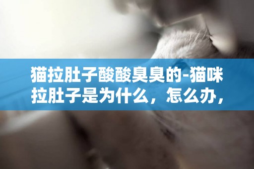 貓拉肚子酸酸臭臭的-貓咪拉肚子是為什么，怎么辦，謝謝