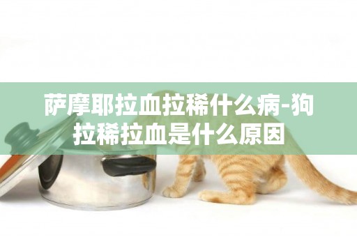 薩摩耶拉血拉稀什么病-狗拉稀拉血是什么原因