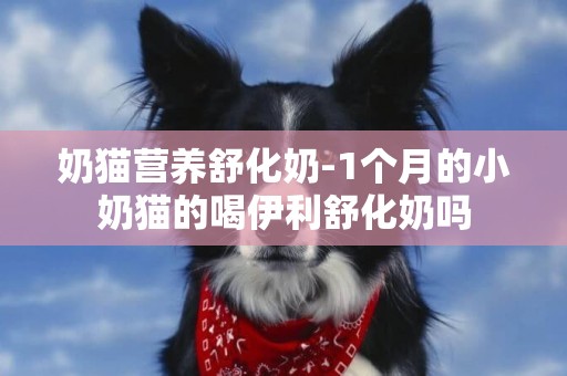 奶貓營養舒化奶-1個月的小奶貓的喝伊利舒化奶嗎