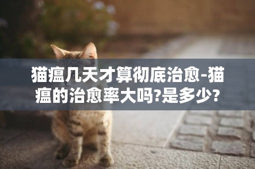 貓瘟幾天才算徹底治愈-貓瘟的治愈率大嗎?是多少?
