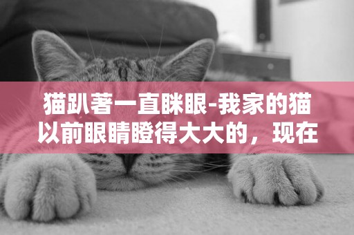 貓趴著一直瞇眼-我家的貓以前眼睛瞪得大大的，現在一直瞇著眼？為什么？