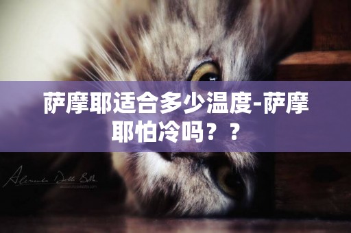 薩摩耶適合多少溫度-薩摩耶怕冷嗎？？