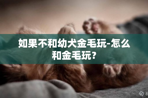 如果不和幼犬金毛玩-怎么和金毛玩？