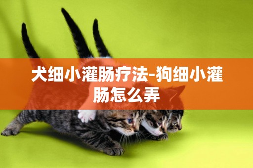 犬細小灌腸療法-狗細小灌腸怎么弄