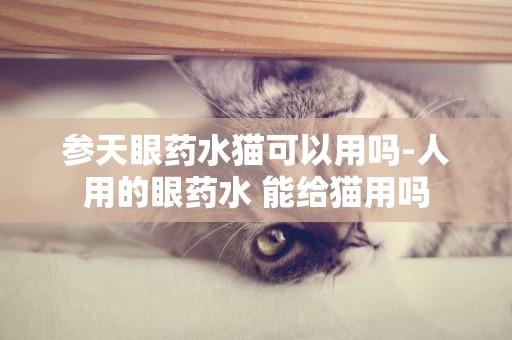 參天眼藥水貓可以用嗎-人用的眼藥水 能給貓用嗎