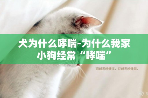 犬為什么哮喘-為什么我家小狗經常“哮喘”