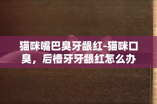 貓咪嘴巴臭牙齦紅-貓咪口臭，后槽牙牙齦紅怎么辦