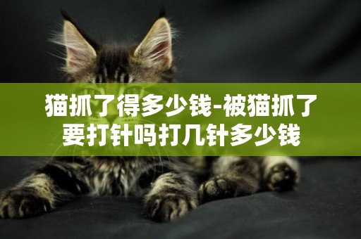 貓抓了得多少錢-被貓抓了要打針嗎打幾針多少錢