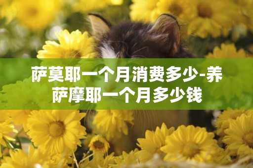 薩莫耶一個月消費多少-養薩摩耶一個月多少錢
